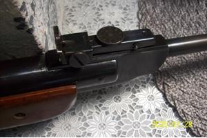 luchtbus diana  model 35